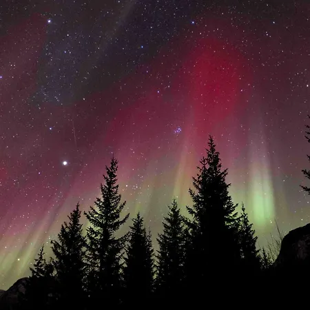 Northern Lights View Beautiful Berg Apartman *