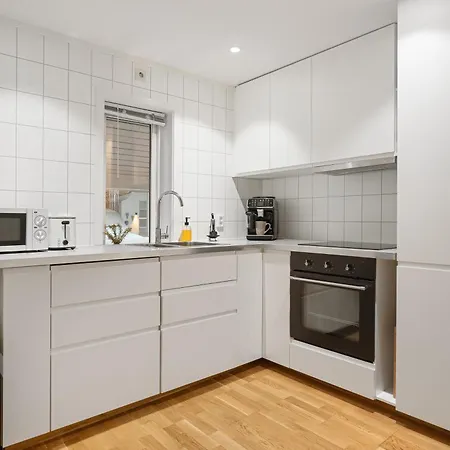 Northern Lights View Beautiful Berg * Kuberg