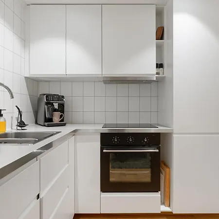 Northern Lights View Beautiful Berg Daire