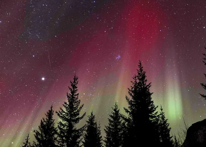 Northern Lights View Beautiful Berg Lejlighed *