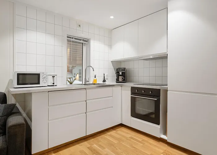 Northern Lights View Beautiful Berg * Tromsø