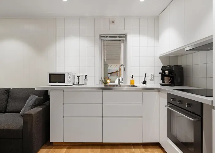 Northern Lights View Beautiful Berg *