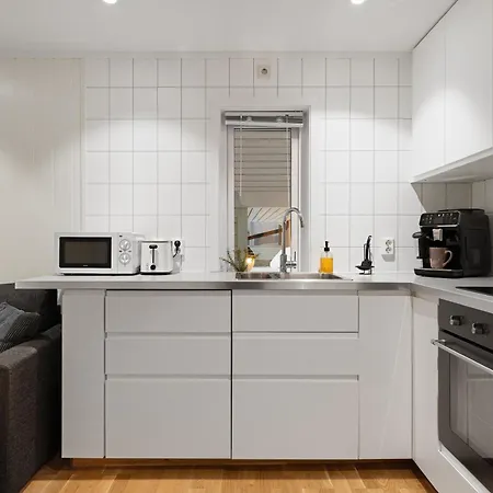 Northern Lights View Beautiful Berg *