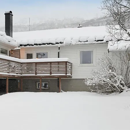 Northern Lights View Beautiful Berg